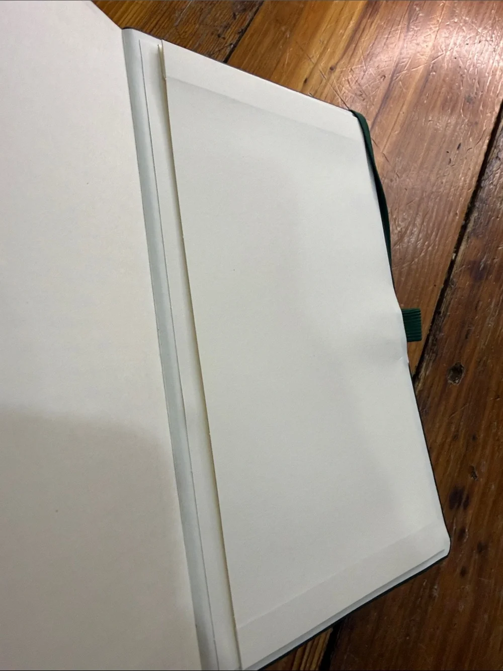 Castelli Made in Italy Green Leatherette Journal with Tricks on it